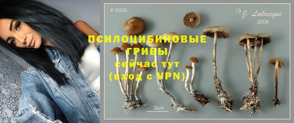 герыч Бронницы