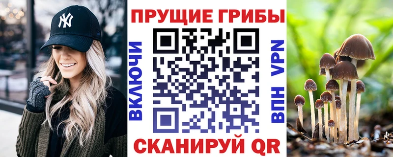 Галлюциногенные грибы мицелий  Гагарин 