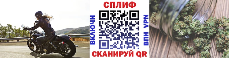 Бошки Шишки конопля  Гагарин 